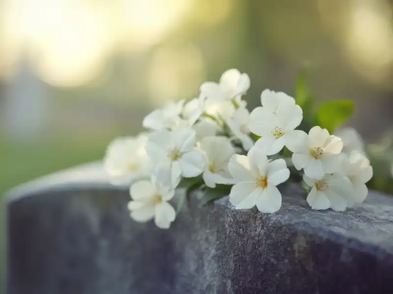 esumazioni-ed-estumulazione-4